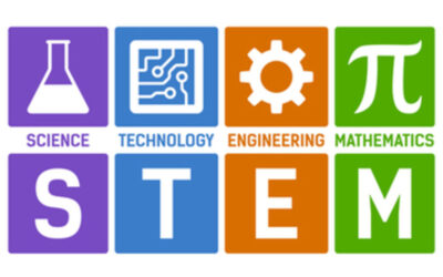 STEM Box Training
